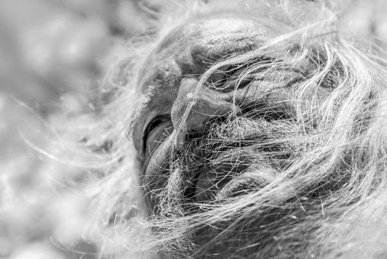 Galerie Portrait: Männliches Model mit landem Haar in Schwarzweiß fotografiert