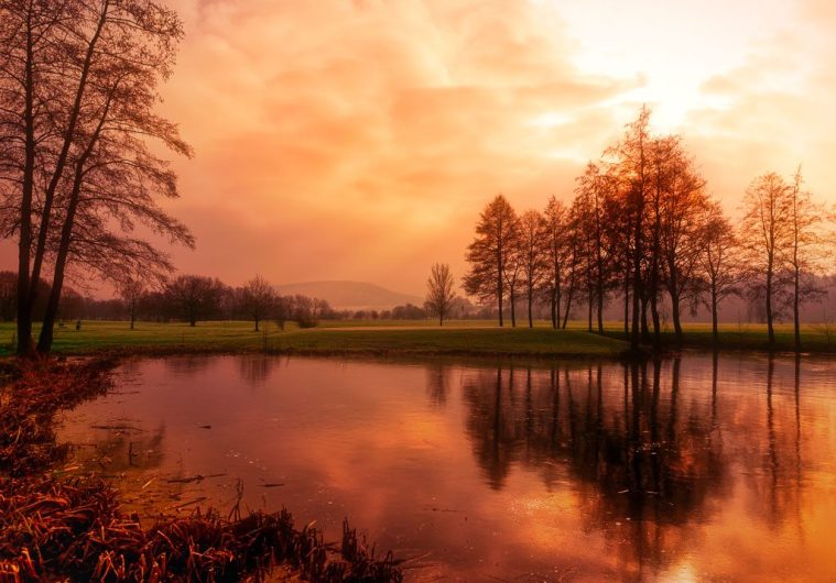 Galerien - Sonnenaufgang an einem mit Bäumen umsäumten See im Weserbergland