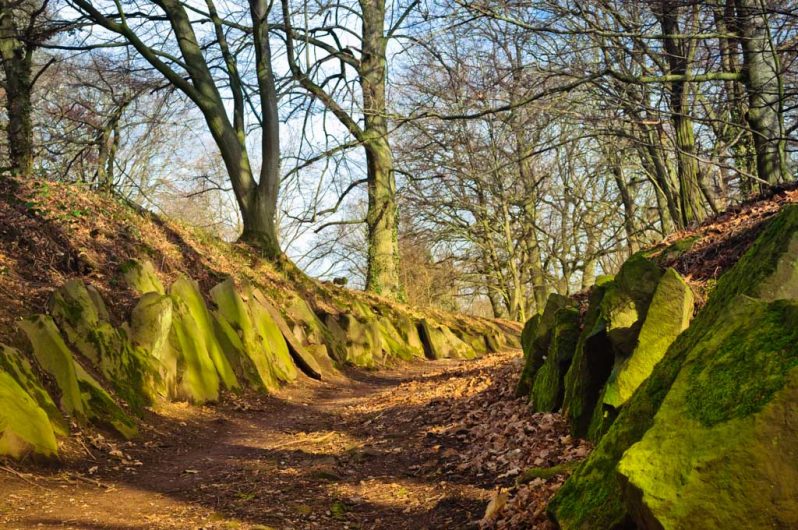 Galerie Landschaften: Weg im Park auf dem Ohrberg bei Hameln