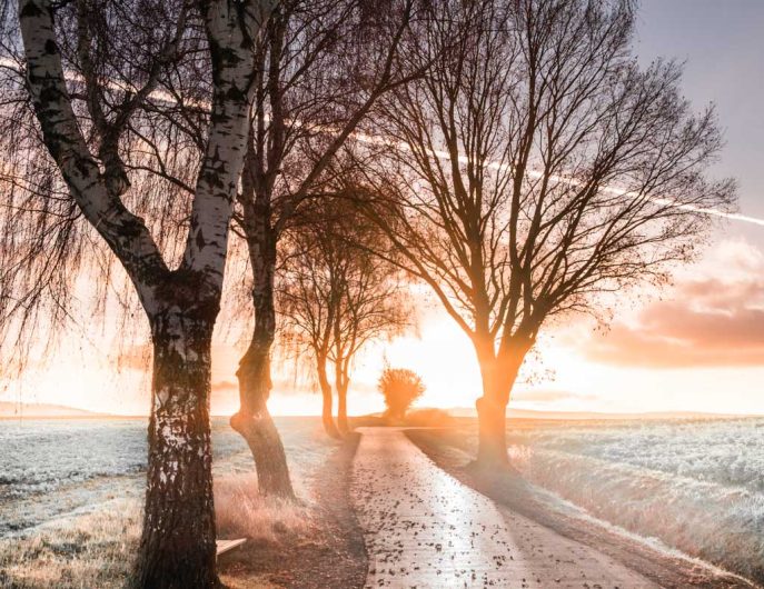 Winterlandschaft mit Baum bim Weserbergland