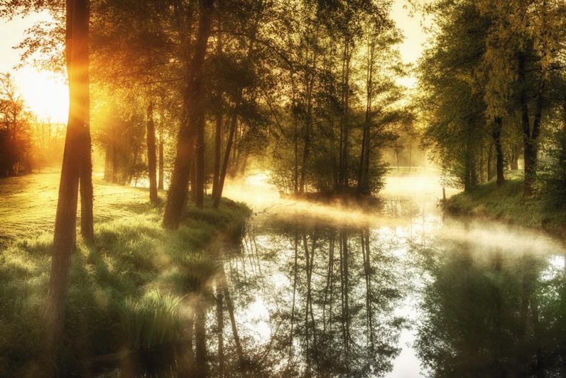 Galerie Aktuell: Sonnenaufgang am Teich